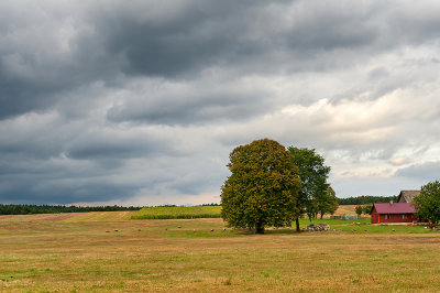 Landscape Near Werchrata