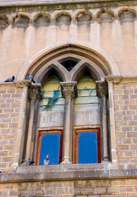 Window With Pigeons