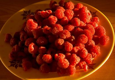 Sunny Raspberries