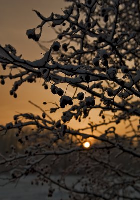 Wintery Sunset