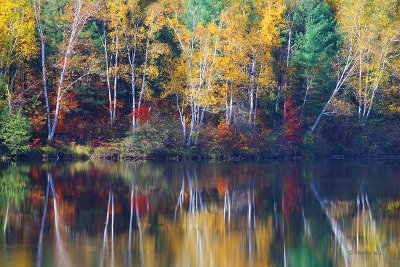Autumn Reflections at Madawaska