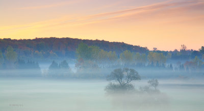 Autumn Morning Mist 2