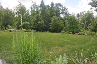 DSC_0005.JPG