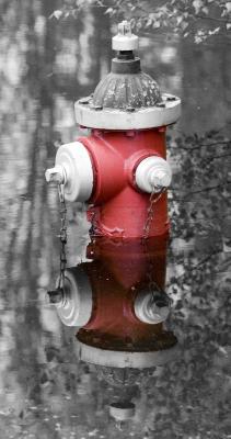 g4/62/582862/3/60532072.Hydrant_Web.jpg