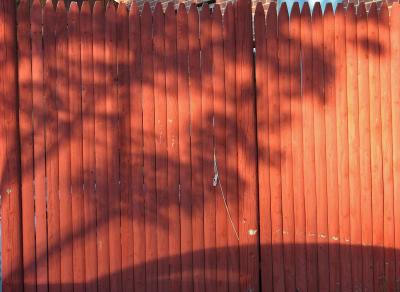 g4/62/582862/3/60734305.Fence_Web.jpg