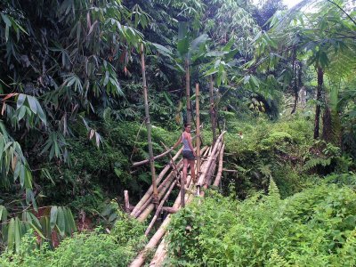 bamboo bridge