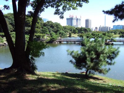 Hamarikyū park in Tokyo