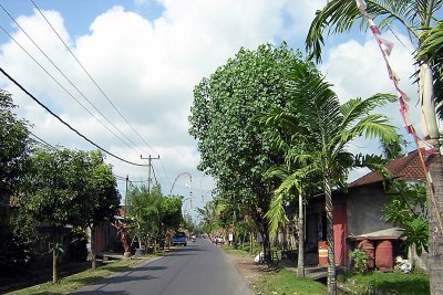 A village in Bali