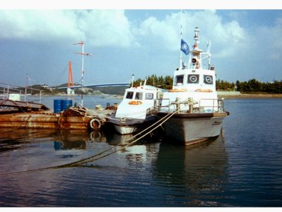 Jindo Island Bridge