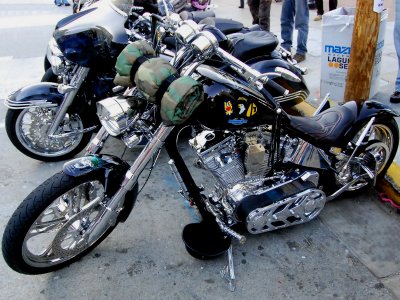 Vietnam Veteran Harley Davidson