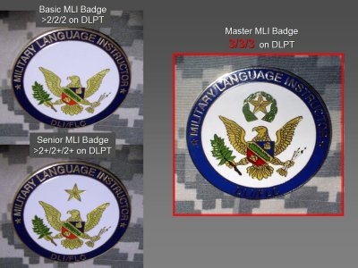 MLI Master Instructor Badge, Senior Instructor Badge, Basic Instructor Badge