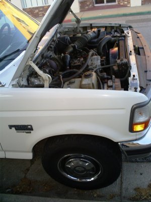 1997 Ford F250 Powerstroke 7.3 Liter Turbo-diesel engine passenger side