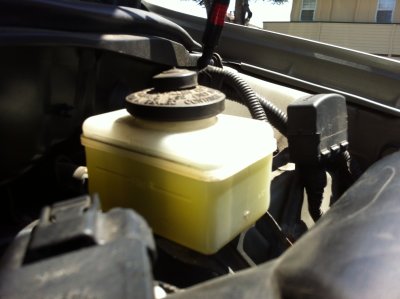 All fluids evidence of regular maintenance