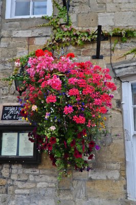 Hanging Basket