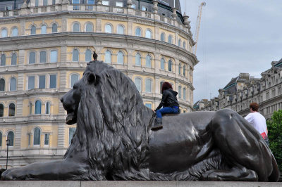 Lion of Trafalgar Square