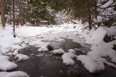 Eugenia Falls - December 2007