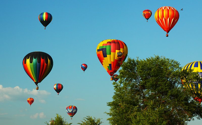 Floating Above the Trees