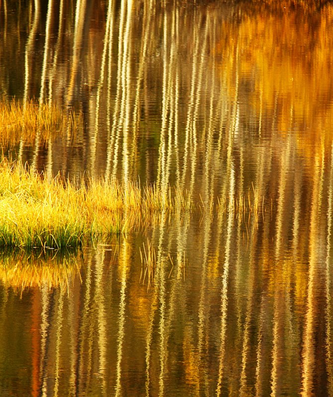 Autumn Reflections