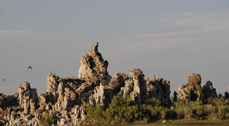 Seagulls on Tufa Island.jpg