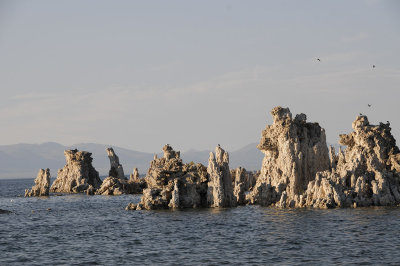Tufa Formations and Gulls.jpg