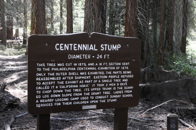Centennial_Stump_1875.jpg