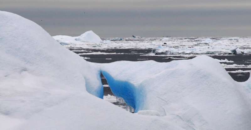 Iceberg Alley 12