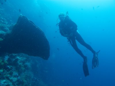 Giant sponge