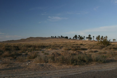 Landscape Douz