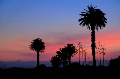 Bolsa Chica Wetlands
