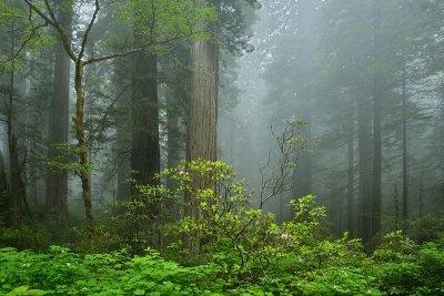 _D8C5083_dw.jpg