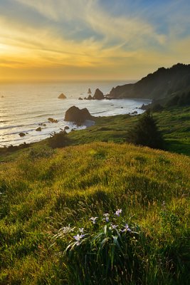 _D8C1977_16x24_dw.jpg