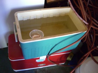 g4/62/761862/3/133709172.7juG7bWO.jpg