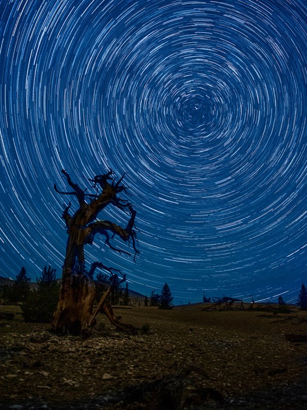   Star Trail