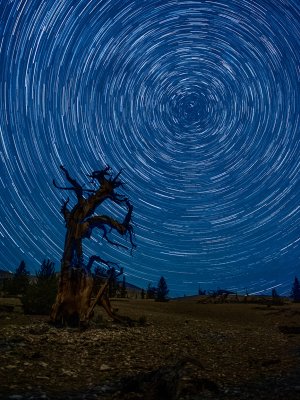   Star Trail