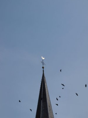 Maartensdijk, NH kerk 15, 2011.jpg