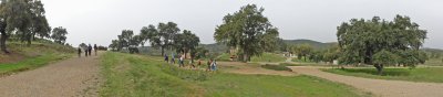 DSC02436