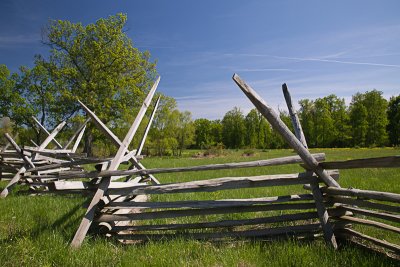 Peach Orchard