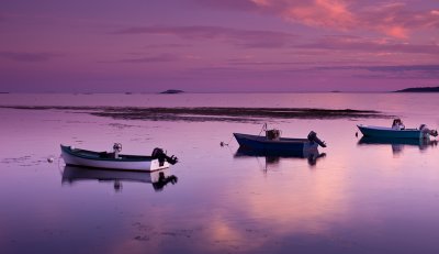 The boats