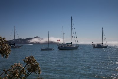 Sausalito and the Bay Area 2011