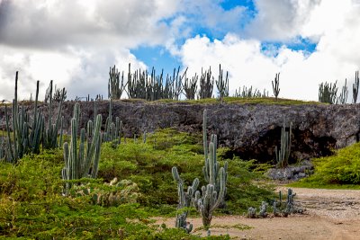 Bonaire