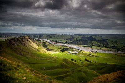 Wine Country, NZ