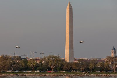 Presidential heliocade perhaps