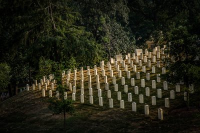 Arlington Cemetery
