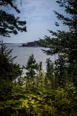 Otter Cove