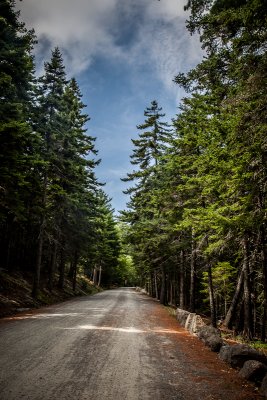 Carriage Road near Jordan Pond