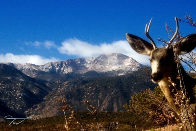 Pikes Peak from The Garden of The Gods