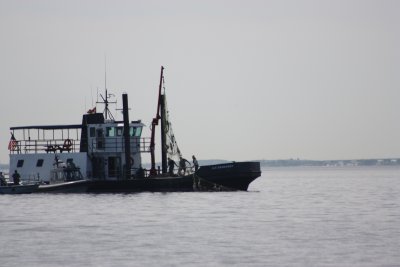 IMG_7481.JPG