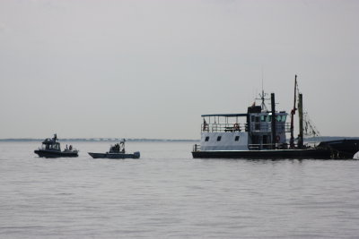 IMG_7486.JPG