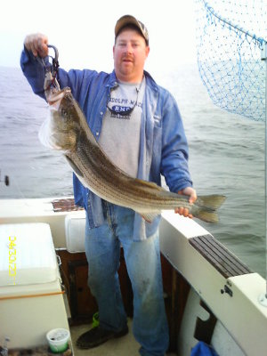 Chuck Hicks of the Hunkerdown during the Spring Rockfish Season.