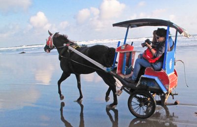 horse carriages Parangtritis Beach